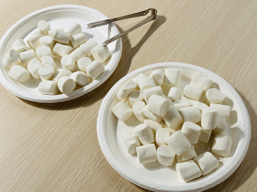 【鳳梨屋水上莊園】宜蘭員山超人氣親子景點!一泊三食住進落羽松 【鳳梨屋水上莊園】宜蘭員山超人氣親子景點!一泊三食住進落羽松