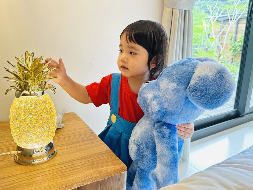 【鳳梨屋水上莊園】宜蘭員山超人氣親子景點!一泊三食住進落羽松 【鳳梨屋水上莊園】宜蘭員山超人氣親子景點!一泊三食住進落羽松