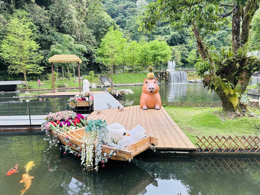 【鳳梨屋水上莊園】宜蘭員山超人氣親子景點!一泊三食住進落羽松 【鳳梨屋水上莊園】宜蘭員山超人氣親子景點!一泊三食住進落羽松