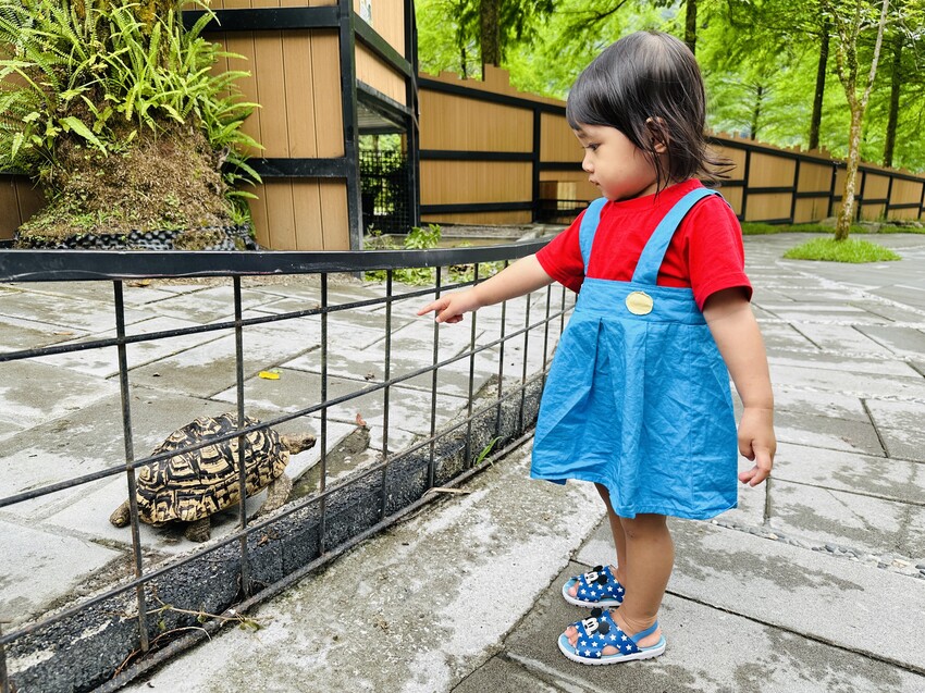 【鳳梨屋水上莊園】宜蘭員山超人氣親子景點!一泊三食住進落羽松 【鳳梨屋水上莊園】宜蘭員山超人氣親子景點!一泊三食住進落羽松
