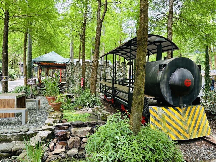 【鳳梨屋水上莊園】宜蘭員山超人氣親子景點!一泊三食住進落羽松 【鳳梨屋水上莊園】宜蘭員山超人氣親子景點!一泊三食住進落羽松