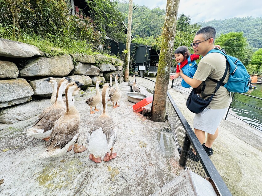 【鳳梨屋水上莊園】宜蘭員山超人氣親子景點!一泊三食住進落羽松 【鳳梨屋水上莊園】宜蘭員山超人氣親子景點!一泊三食住進落羽松
