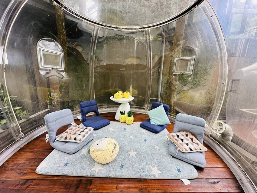 【鳳梨屋水上莊園】宜蘭員山超人氣親子景點!一泊三食住進落羽松 【鳳梨屋水上莊園】宜蘭員山超人氣親子景點!一泊三食住進落羽松