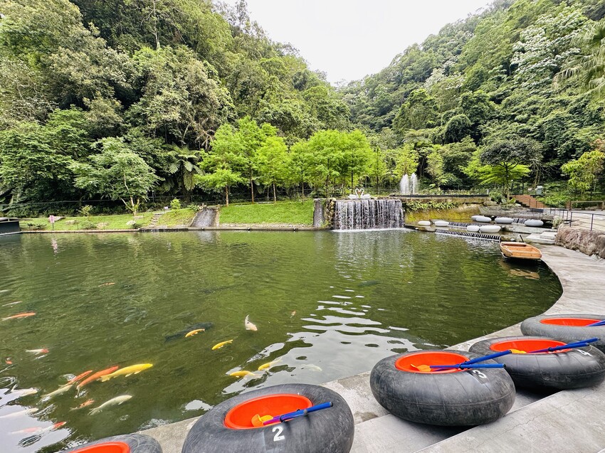 【鳳梨屋水上莊園】宜蘭員山超人氣親子景點!一泊三食住進落羽松 【鳳梨屋水上莊園】宜蘭員山超人氣親子景點!一泊三食住進落羽松