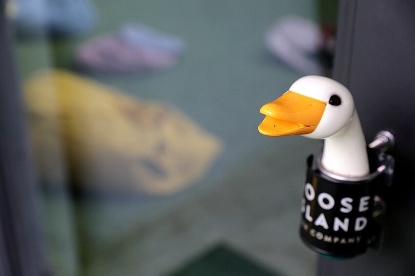 田野裡的老宅秘境餐廳!一望無際翠綠稻田 異國咖哩料理&百多款啤酒|熊轉家田咖喱(台中霧峰景觀餐廳)