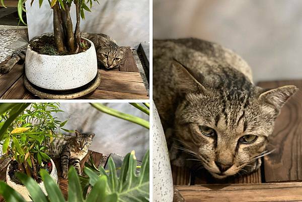 LINE_ALBUM_20211123 _9_211123_13.jpg