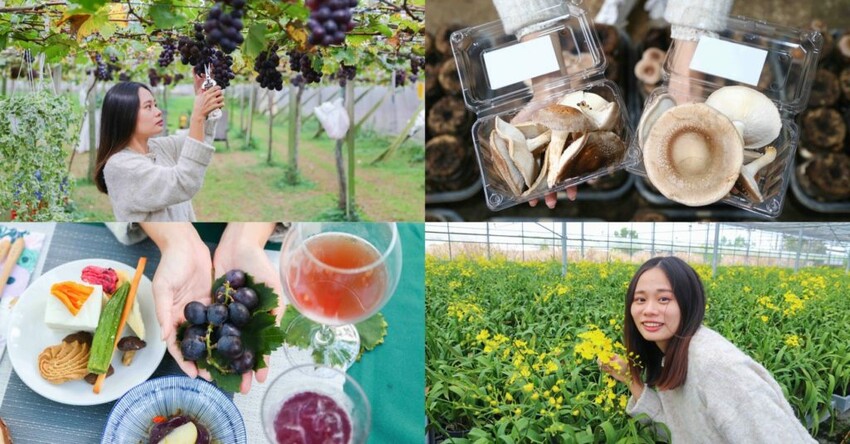 【台中住宿】Mr.Mantter 曼特先生設計旅店，近台中火車站，平價旅宿好選擇！