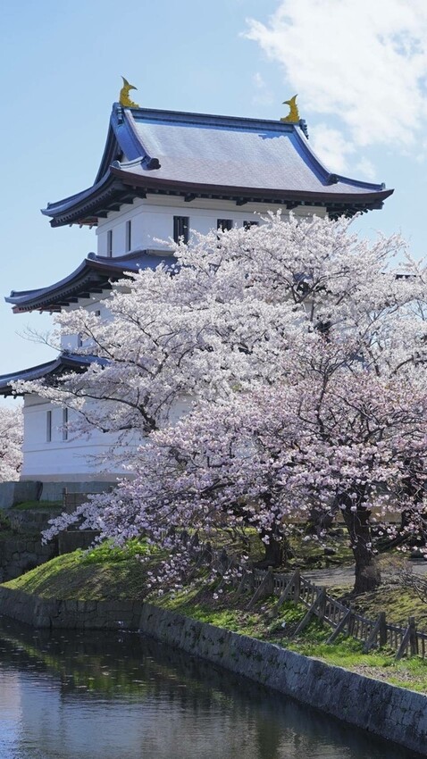 [台北推薦火鍋]我樂鍋物Garaku Nabe Neo19 信義旗艦店#台北推薦火鍋#信義區美食#和牛火鍋#海鮮火鍋#宵夜推