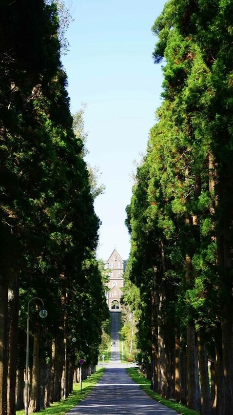 [台北推薦火鍋]我樂鍋物Garaku Nabe Neo19 信義旗艦店#台北推薦火鍋#信義區美食#和牛火鍋#海鮮火鍋#宵夜推