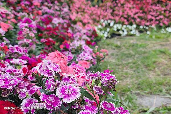 【花蓮/富里】2021第二屆稻草藝術季