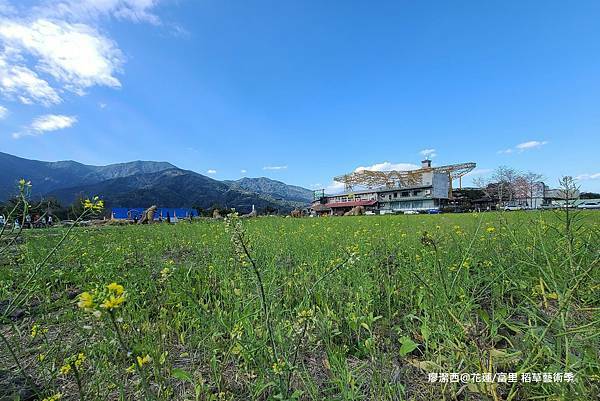 【花蓮/富里】2021第二屆稻草藝術季