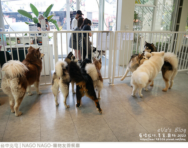NAGO NAGO寵物友善餐廳-56.jpg