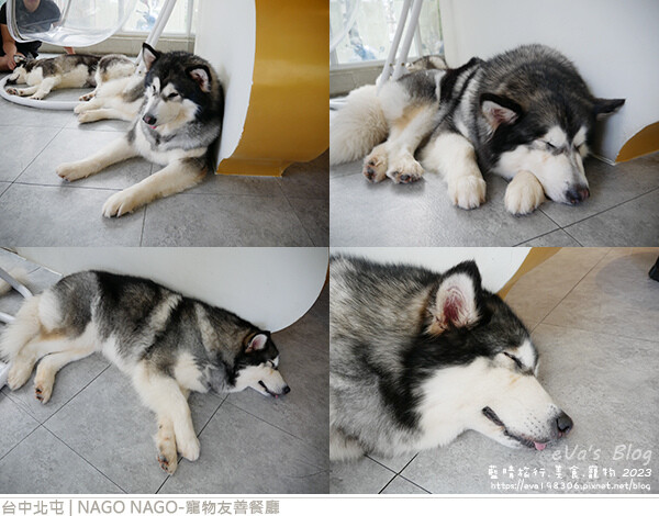 NAGO NAGO寵物友善餐廳-34.jpg