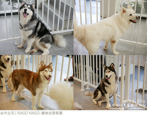 NAGO NAGO寵物友善餐廳-63.jpg