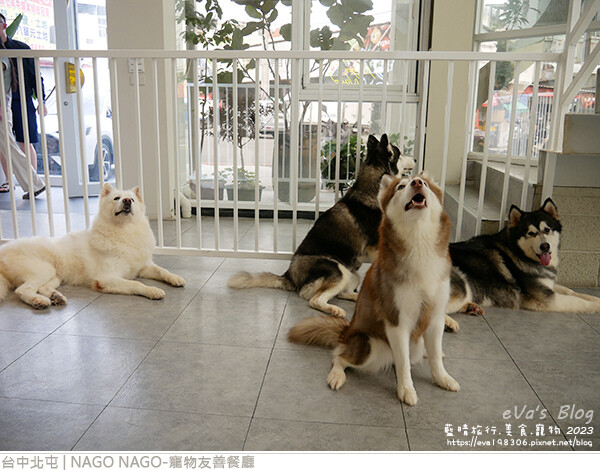 NAGO NAGO寵物友善餐廳-62.jpg