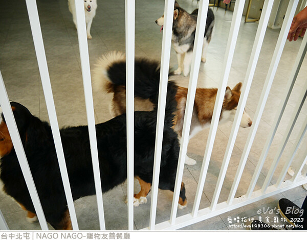NAGO NAGO寵物友善餐廳-31.jpg