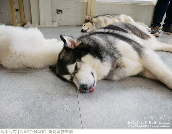 NAGO NAGO寵物友善餐廳-51.jpg