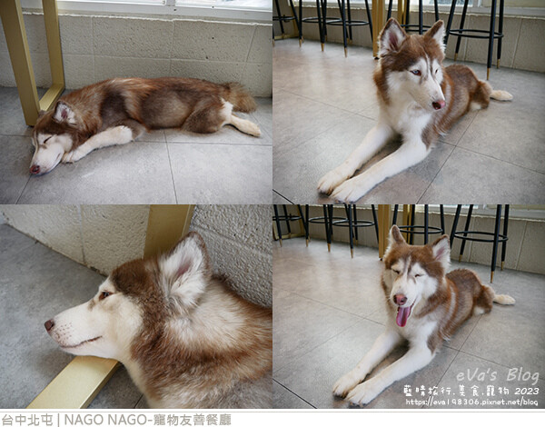 NAGO NAGO寵物友善餐廳-32.jpg