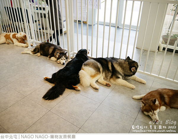 NAGO NAGO寵物友善餐廳-52.jpg