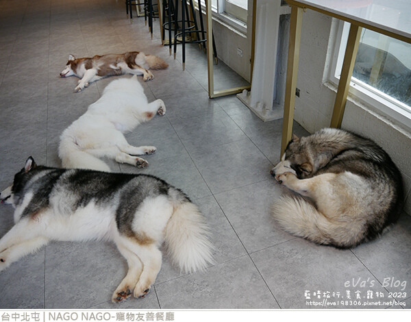 NAGO NAGO寵物友善餐廳-50.jpg
