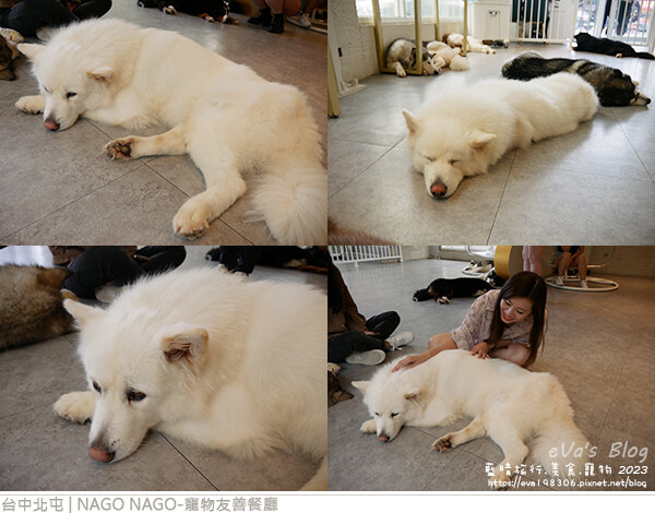 NAGO NAGO寵物友善餐廳-40.jpg