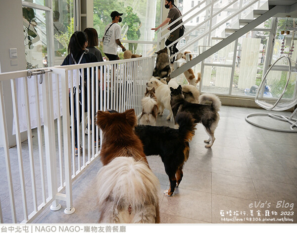NAGO NAGO寵物友善餐廳-59.jpg