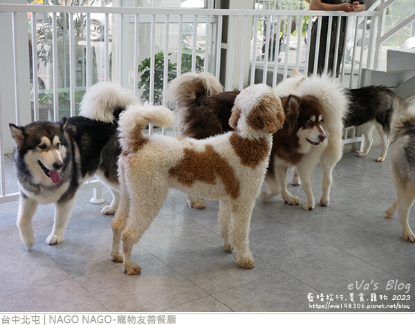 NAGO NAGO寵物友善餐廳-61.jpg