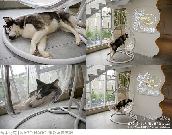 NAGO NAGO寵物友善餐廳-35.jpg