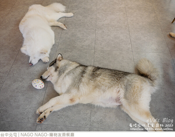 NAGO NAGO寵物友善餐廳-47.jpg