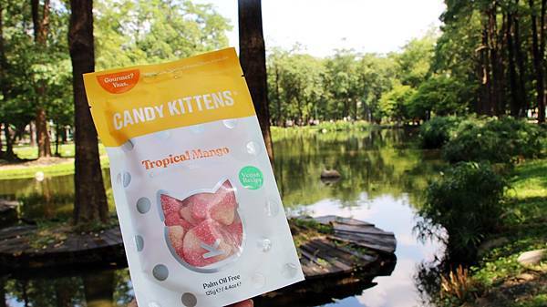 /tmp/phpSDWNND /tmp/phpSDWNND