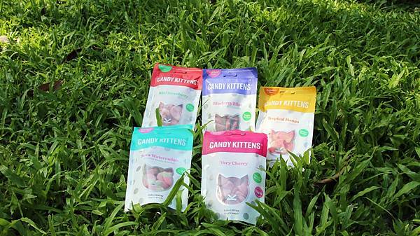 /tmp/phpD4sZBE /tmp/phpD4sZBE