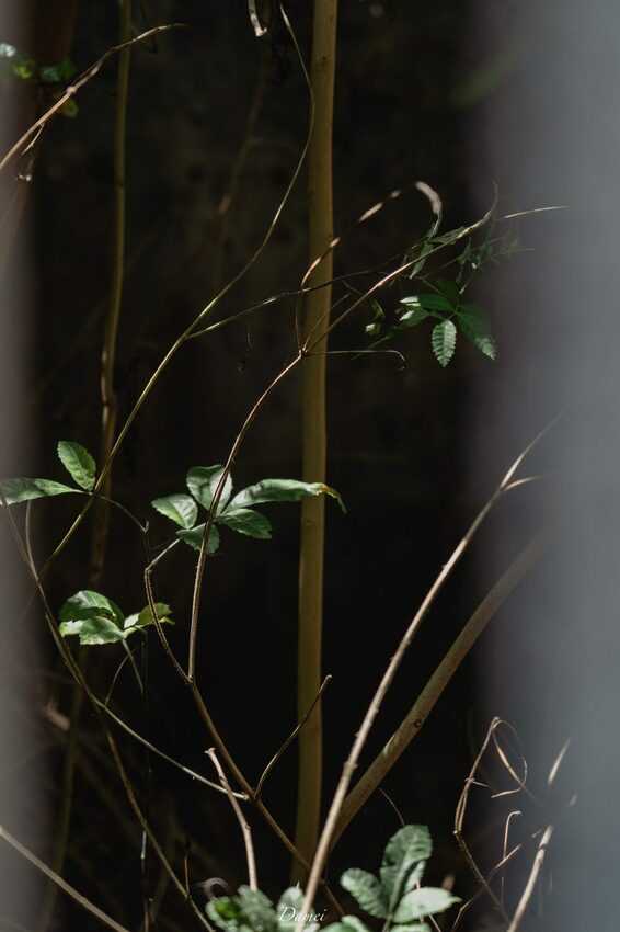 島內慢旅提案｜澎湖湖西-充滿在地特色的南寮社區，浮球拍照秘境是最貼近澎湖生活的一處｜交通、景點、住宿 - 大妹吃太飽