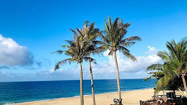 IMG_2835.jpg IMG_2835.jpg