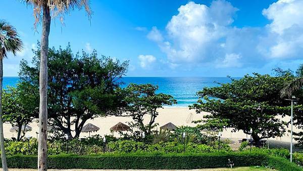 IMG_2200.jpg IMG_2200.jpg