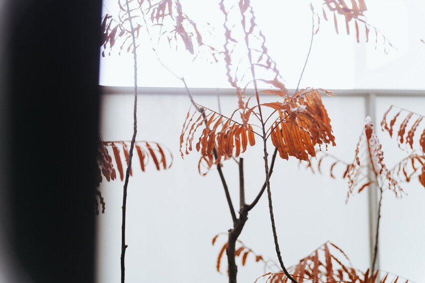 0730_南岸山綺_小檔-66.jpg 0730_南岸山綺_小檔-66.jpg