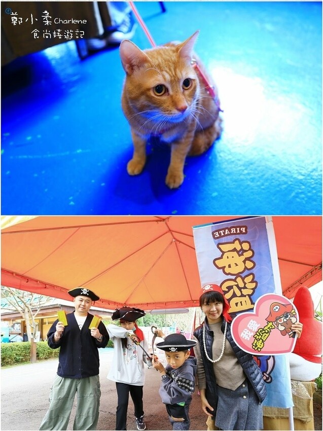 南投竹山|海盜村-一票到底.寵物親子友善景點.景觀彩繪園區|兩天一夜兩日樂園無限暢玩.一泊四食.晚餐BBQ自助