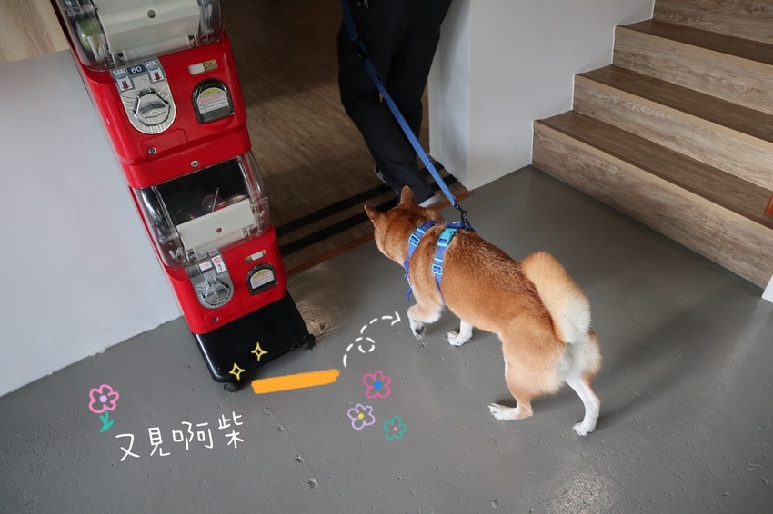 20210830171557_IMG_2952_mh1630453517088.jpg 20210830171557_IMG_2952_mh1630453517088.jpg