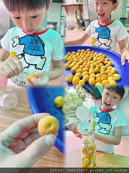 南投｜蟬說 和社山林 讓孩子輕鬆擁抱大自然，親子這樣玩最健康～內有超划算折扣住宿折扣碼: fvw9gf（超讚）