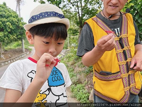 南投｜蟬說 和社山林 讓孩子輕鬆擁抱大自然，親子這樣玩最健康～內有超划算折扣住宿折扣碼: fvw9gf（超讚）