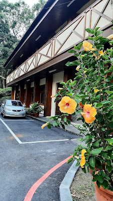 【南投信義鄉】蟬說：和社山林來場森林浴、賞鳥、登山、健行、林場實習、戶外教學、親子活動、旅遊休閒之旅