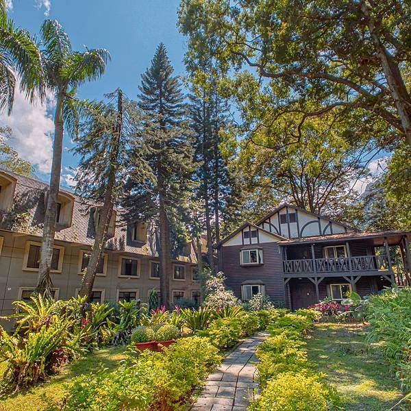 南投縣 信義鄉 蟬說:和社山林 08.jpeg