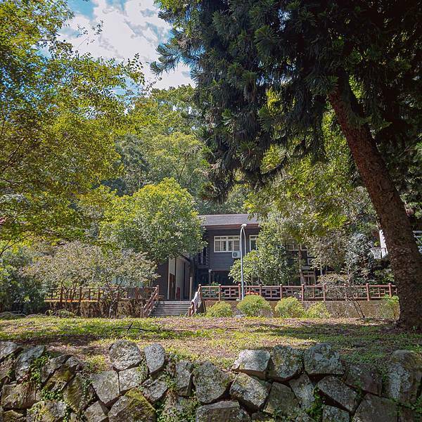 南投縣 信義鄉 蟬說:和社山林 06.jpeg