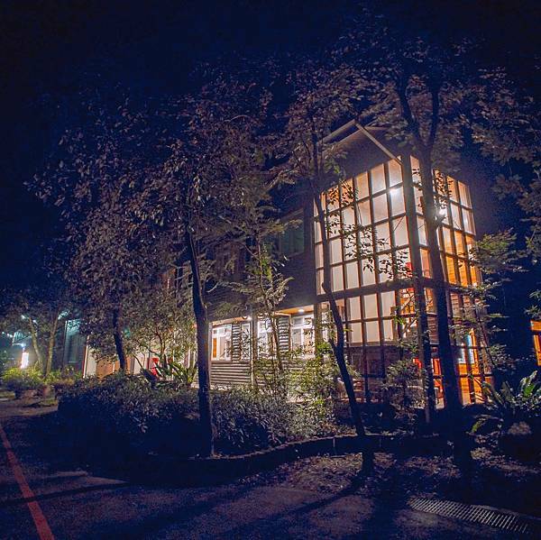 南投縣 信義鄉 蟬說:和社山林 15.jpeg