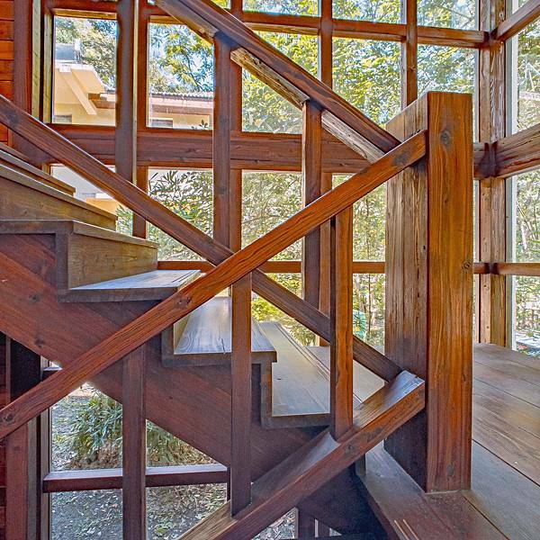 南投縣 信義鄉 蟬說:和社山林 14.jpeg