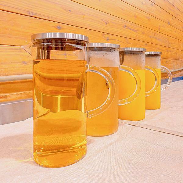 南投縣 信義鄉 蟬說:和社山林 31.jpeg