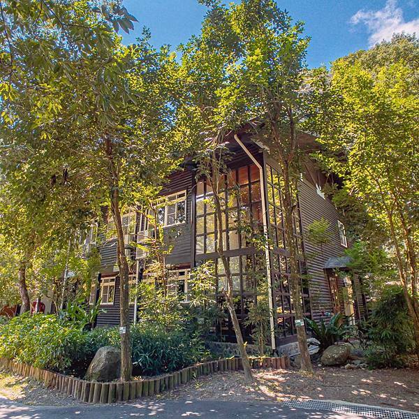 南投縣 信義鄉 蟬說:和社山林 10.jpeg