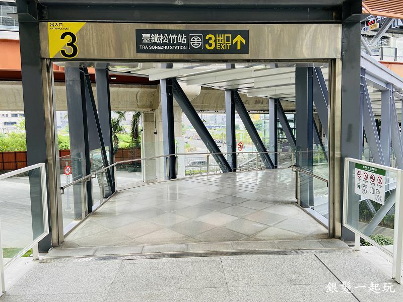 北屯南興公園:台中必來百年芒果樹形似「米奇樹」人氣翻天,綠地、落羽松四季美景一網打盡!