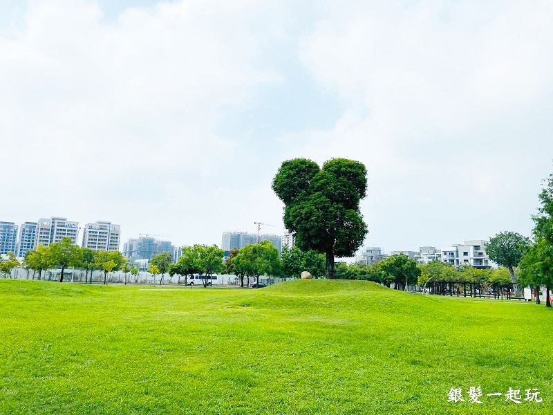 北屯南興公園:台中必來百年芒果樹形似「米奇樹」人氣翻天,綠地、落羽松四季美景一網打盡!