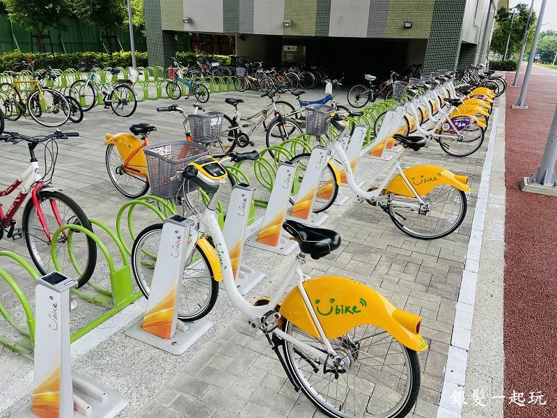 北屯南興公園:台中必來百年芒果樹形似「米奇樹」人氣翻天,綠地、落羽松四季美景一網打盡!