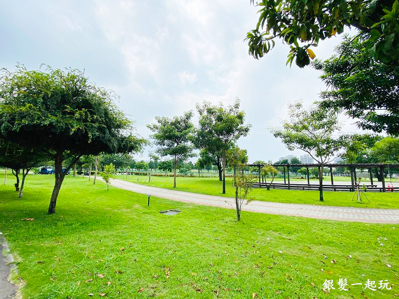 北屯南興公園:台中必來百年芒果樹形似「米奇樹」人氣翻天,綠地、落羽松四季美景一網打盡!